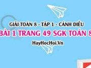 Giải bài 1 trang 49 Toán 8 Tập 1 SGK Cánh Diều